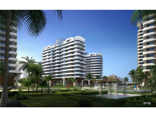 雏鹰乒乓球培训