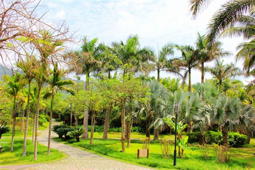 海洁斯健康干洗