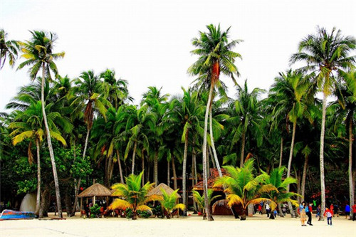 加盟一品煌焖锅开店以后好不好经营，2025加盟一品煌焖锅还有前景吗