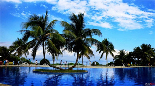 番茄鱼火锅的做法 番茄鱼火锅怎么做，番茄鱼火锅加盟店怎么加盟