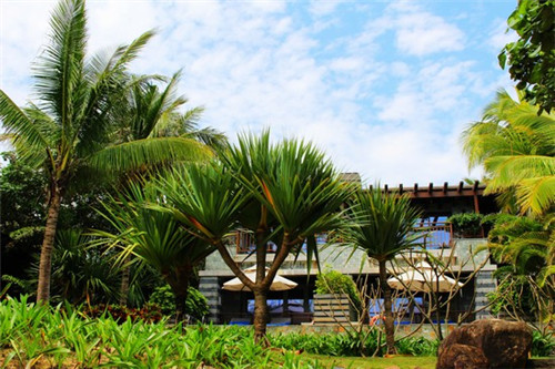 周同学便当是加盟店吗