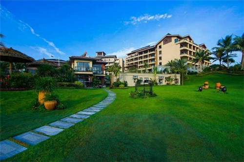 炒番茄土豆卷心菜怎么炒（番茄卷心菜土豆汤）