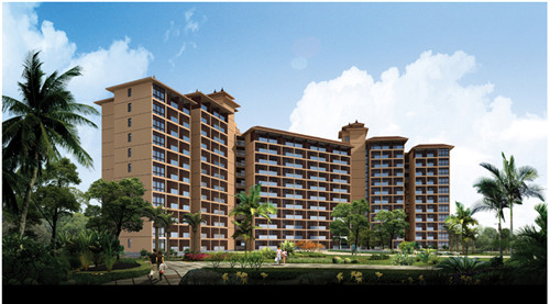 杂交泰迪十大禁忌是什么（杂交泰迪狗狗好养吗）